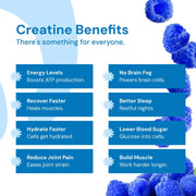 Create Creatine Monohydrate Gummies for Men & Women